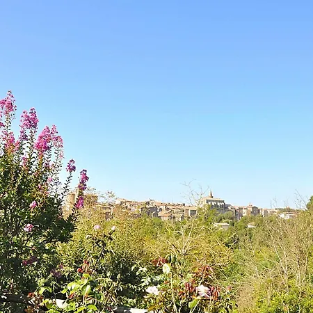 Apartment Montecasciano Margherita