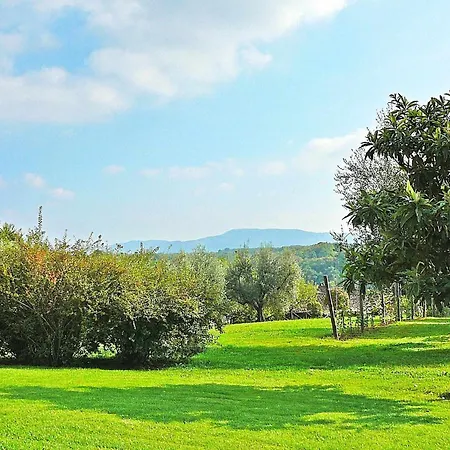 Montecasciano Margherita * Capranica
